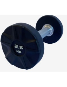 Mancuerna Uretano  de 2,5 kgs a 50 Kg 2